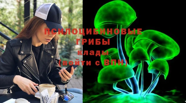 таблы Богданович